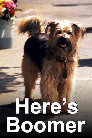 Here's Boomer poster