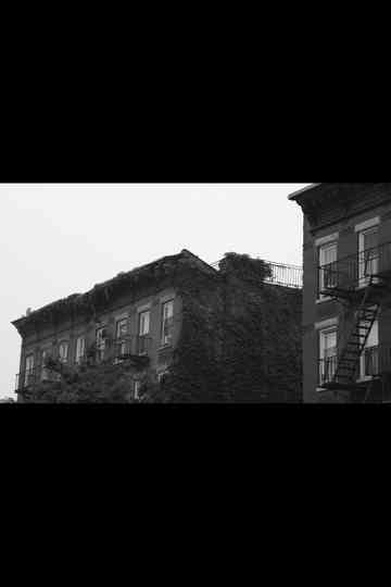 Brooklyn Interlude Poster