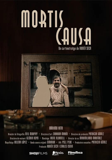 Mortis causa Poster