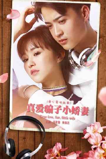 真爱骗子小娇妻 Poster