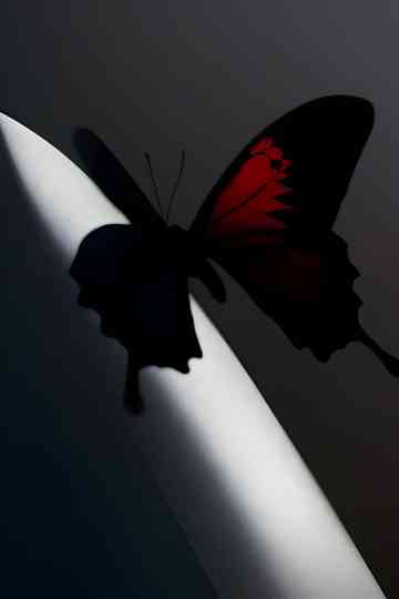 Twelve Carat Toothache Listening Experience Poster