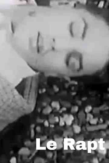 Le Rapt Poster
