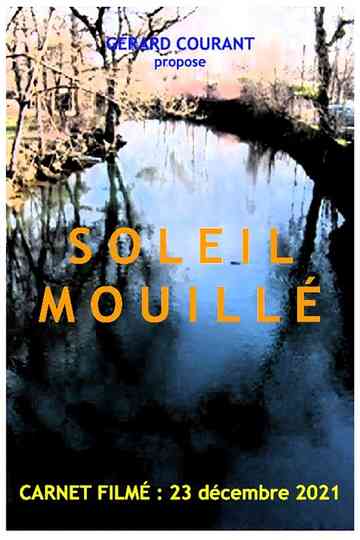 Soleil mouillé Poster