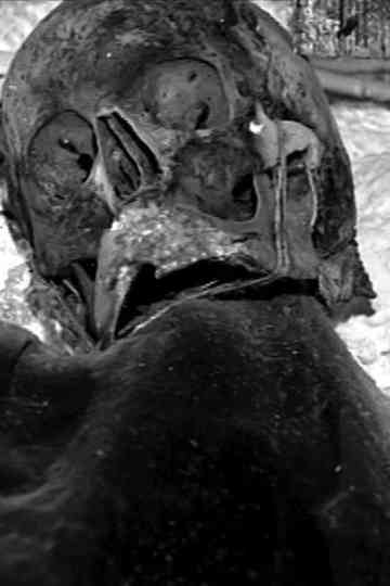 il Gattoparve Poster