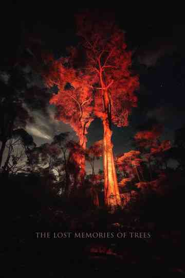 The Lost Memories Of Trees Poster