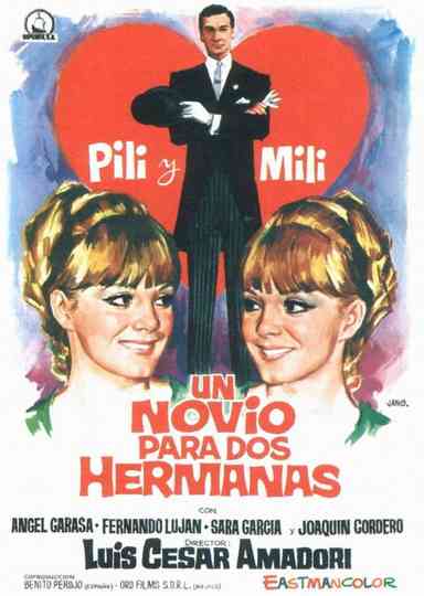Un novio para dos hermanas poster