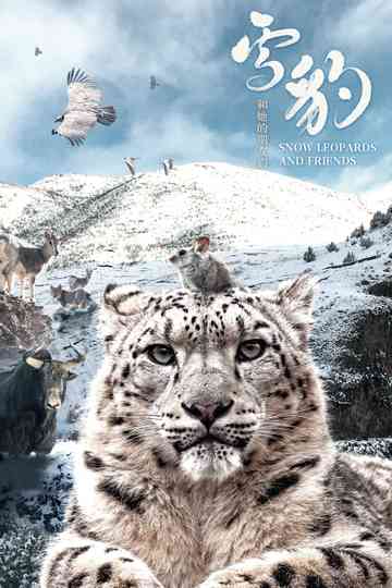 Snow Leopards and Friends poster