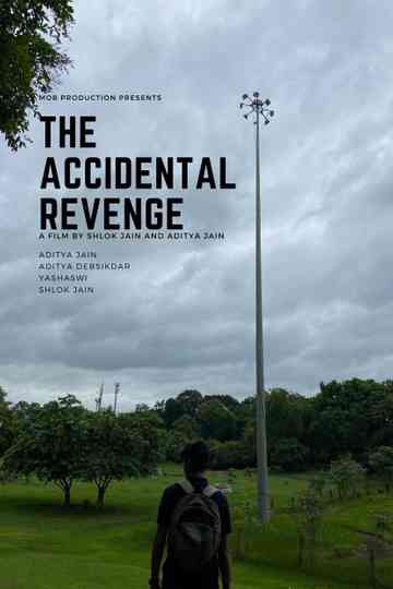 The Accidental Revenge Poster
