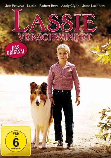Lassie: Disappearance poster