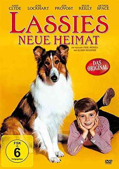Lassie: The Wayfarers poster