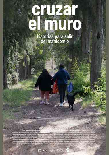 Cruzar el muro Poster