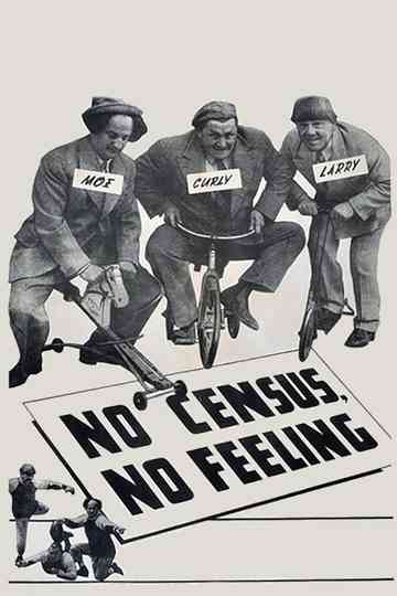 No Census No Feeling poster
