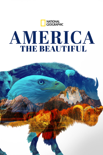 America the Beautiful Poster