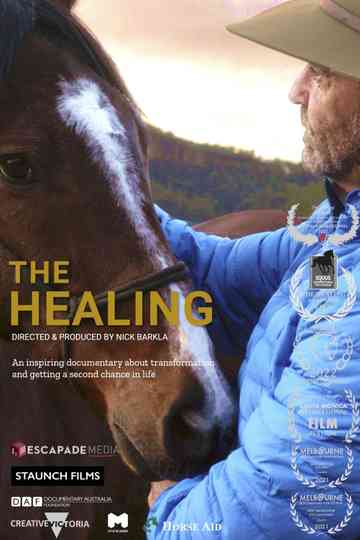 The Healing Poster