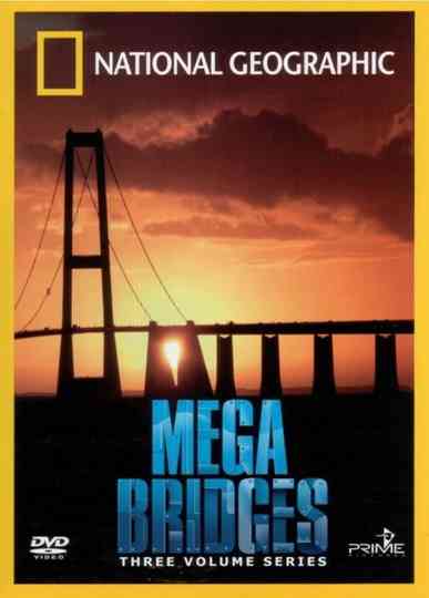 Mega Bridges Poster