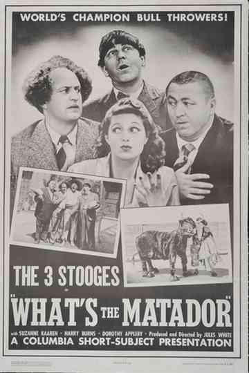 What's the Matador? Poster