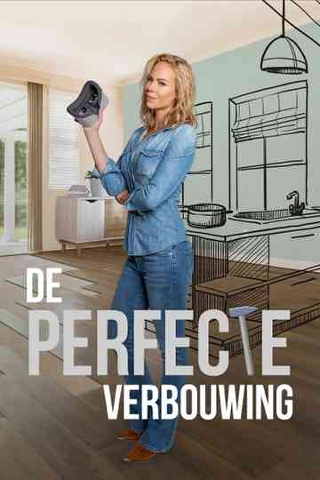 De Perfecte Verbouwing Poster
