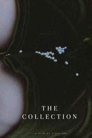 The Collection Poster