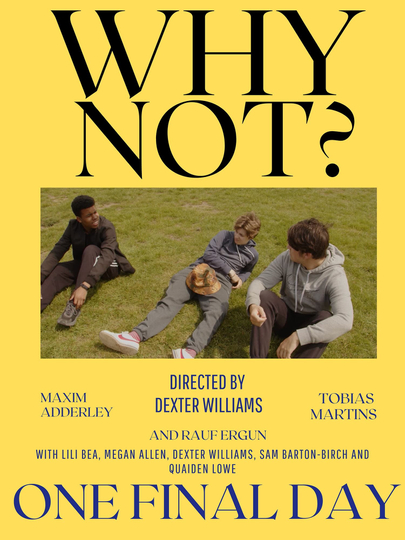 Why Not? Poster