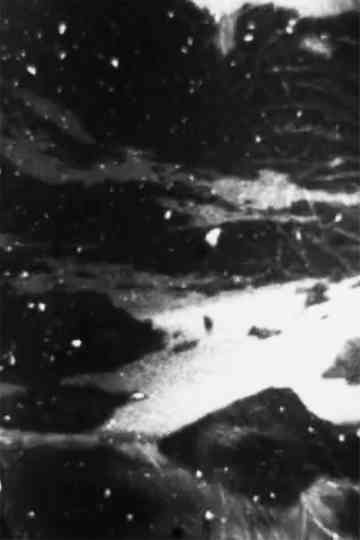 in lightning Agnes Poster