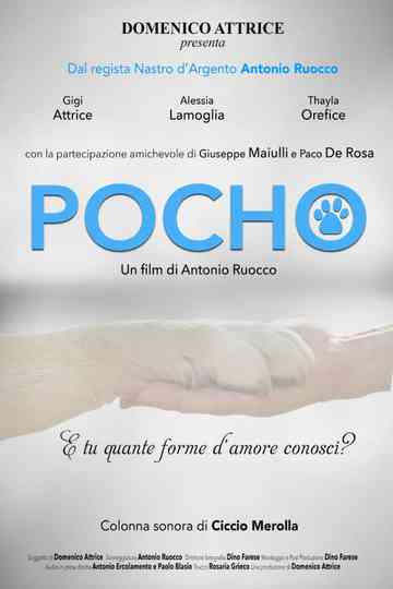 Pocho Poster
