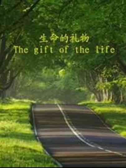 The Gift of the Life Poster
