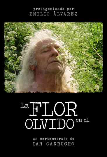 La flor en el olvido Poster