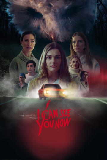 I Can See You Now Poster