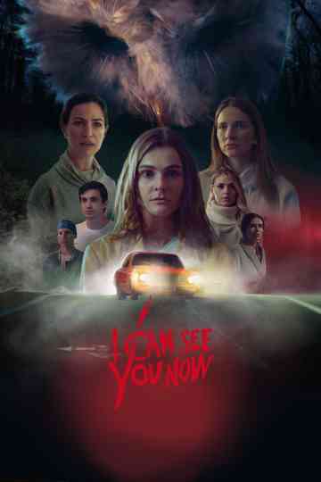 I Can See You Now Poster