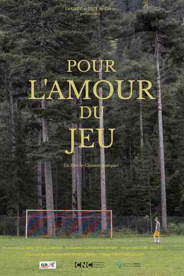 Pour l'amour du jeu Poster