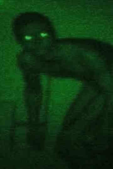 I Touched Her Legs remix Poster