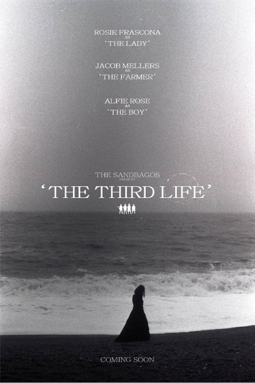 The Third Life Poster