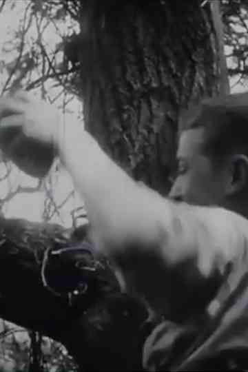 The Nest Robbers Poster