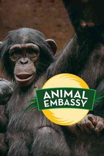 Animal Embassy Poster