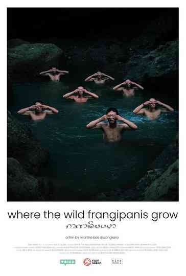 Where The Wild Frangipanis Grow