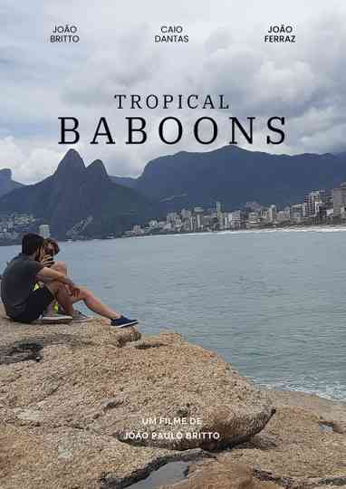 Tropical baboons Poster