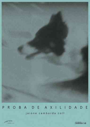 Proba de Axilidade Poster