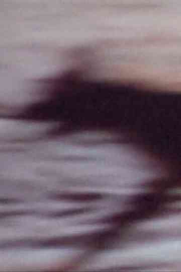 Rituales de registro Poster