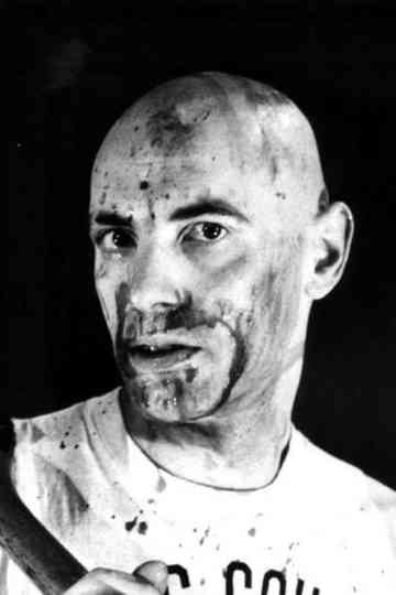 Hov! (Famous Last Words) Poster