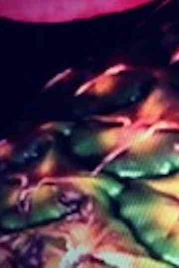 The Pineapple of A Very, Very Serious Lady Poster