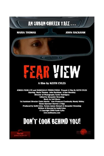 Fear View Poster