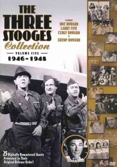 The Three Stooges Collection, Vol. 5: 1946-1948 Poster