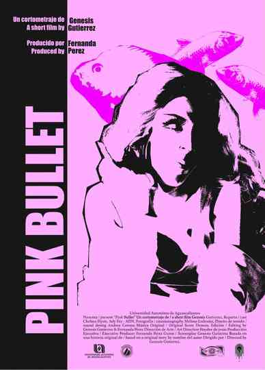 Pink Bullet Poster