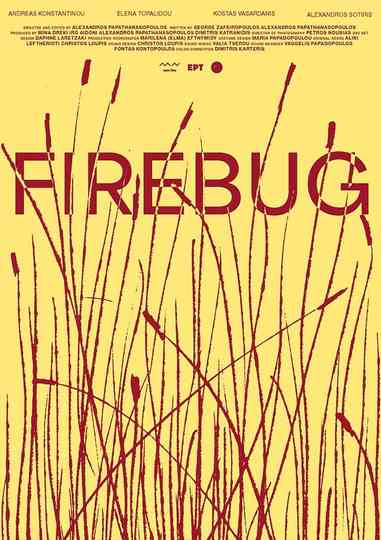 Firebug Poster