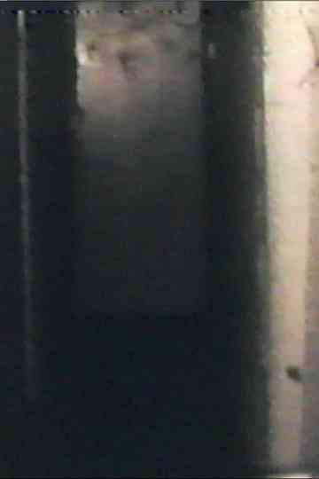 Audio and Visual Experiment 8 Poster