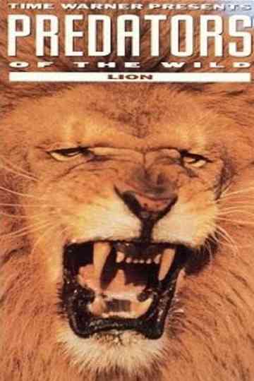 Predators of the Wild: Lion Poster