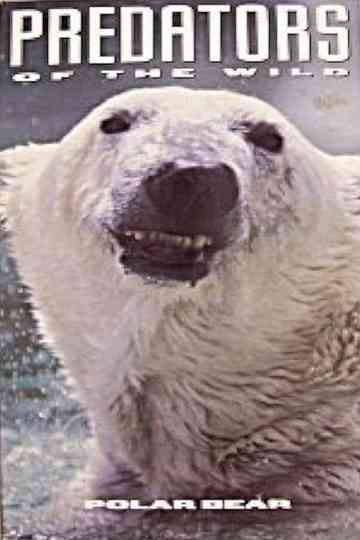 Predators of the Wild: Polar Bear Poster