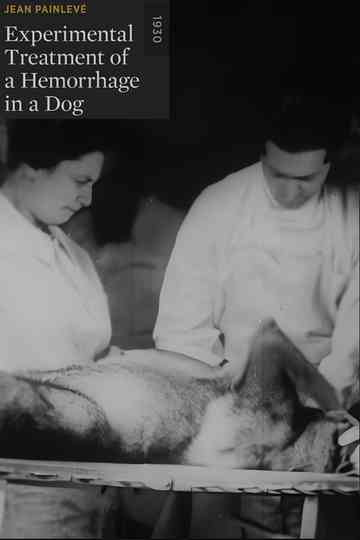Experimental Treatment of a Hemorrhage in a Dog Poster