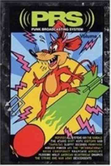 PBS: Punk Broadcasting System Poster