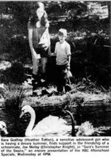 Sara's Summer Of The Swans Poster